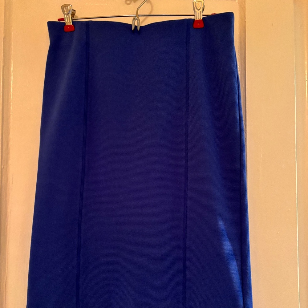 NWT - Ann Taylor Pencil skirt